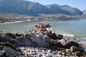 418977_472619759437598_1531807053_n