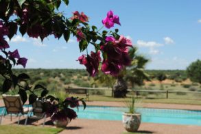 420351_367475346618707_591727775_n