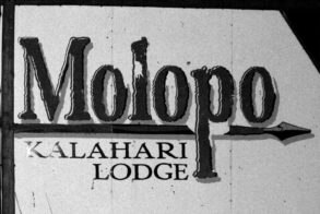 423663_365459350153640_1111461387_n