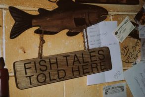 427892_472624719437102_867480402_n