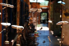 428360_365461806820061_591228371_n