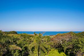 45313843_10156711332326425_4143008260691066880_o