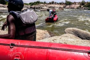 47689549_2236737743026286_650472423317045248_n