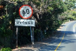 483325_441889602510614_974951962_n