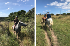 4b397b32-bf7f-4a46-84d7-e57110754563 (1)