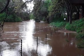 50269925_958964687642223_6196125850790789120_n