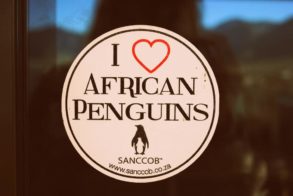 530081_472619009437673_1854713662_n