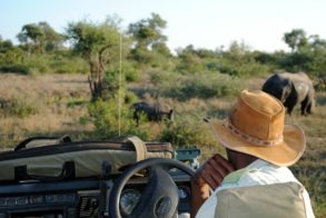 538699_398897513476490_451271064_n