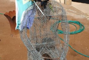 544819_392531457446429_2010491686_n