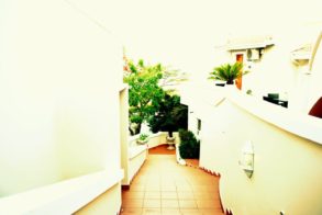 553245_439592062740368_25598936_n