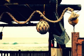 555294_439593436073564_795186270_n