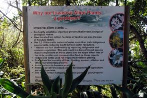 557163_441890522510522_482093283_n