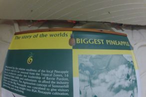 559207_451946548171586_741930931_n