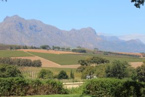 55924191_2373301286055415_5453981069982302208_o