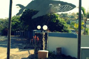 563476_441891142510460_1593196456_n