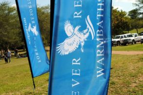 564803_396014890431419_263459315_n