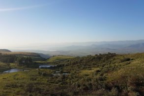 58686664_1055486014575469_4659446248032436224_o