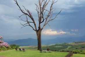 59418995_1388874444588906_8156503307284643840_o