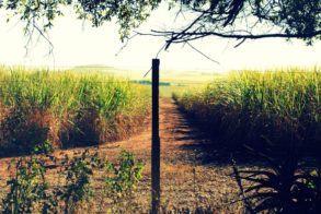 598588_424022660963975_1397249782_n