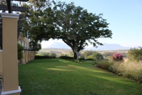 59867345_2426028160782727_1650587963718893568_o