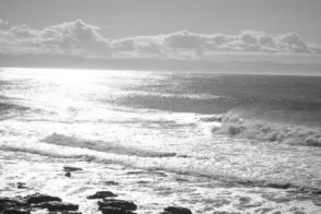 600069_456224451077129_620513282_n