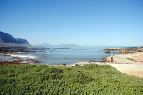 601625_472618819437692_633116767_n