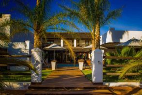 60506459_2462752643744000_643055865200377856_n