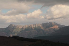 61029419_1406247999518217_5160210314867769344_o