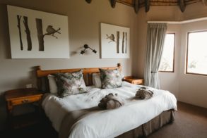 61076532_2743844368976265_2413948302421655552_n