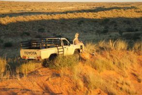 625563_424592497629576_469712105_n