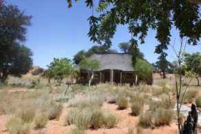 644472_424593760962783_922379154_n