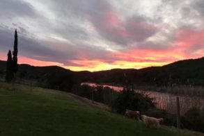 66065884_2334652556776800_2281074426738900992_n