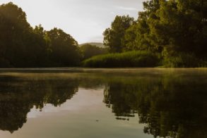 66170998_10157381142147418_2720335373644333056_o