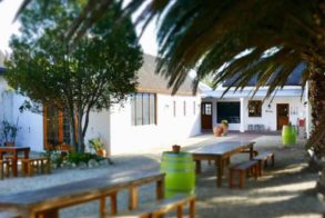 67119193_2167930773337994_7444953893512937472_n