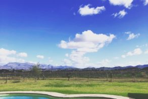 67221276_10157421507177418_5757581785466667008_n