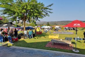 67357965_2575789599099758_6596765923489611776_n