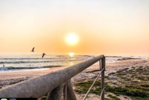 67598831_2370651833022308_444724355759341568_o