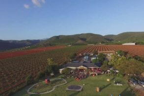 68359007_2597848293560555_5660824637668327424_n