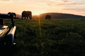 68507708_2379438685445009_6876771772276932608_n