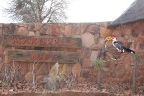 68557203_1077052549166769_8868604529864605696_o