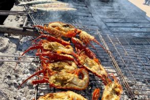 68717651_2403679576386200_163400325674303488_n