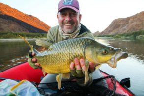 68745923_2644986695534720_2437965415943503872_o