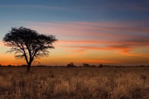 68772334_2485929498162522_6686237552623484928_n