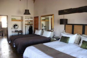 68788375_655758194919068_5502561865974153216_n