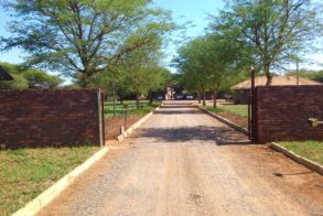 920151_109820282551670_880036868_o