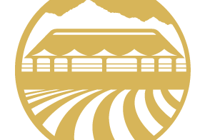 969688_10151474944581225_1975561983_n