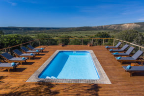 Amakhala Game Reserve Woodbury Tented Camp Pool View