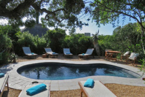 Amakhala Game Reserve Woodbury Tented Camp Swimming Pool