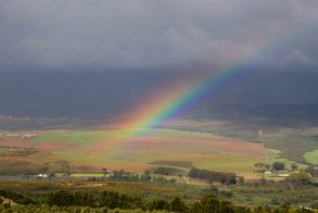 Barton Vineyards and Villas, Botriver