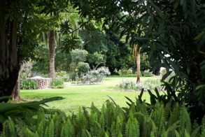 Beautiful gardens to view on Valley Garden tours